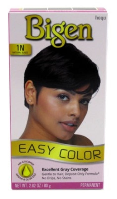 Bigen Easy Color 1N – Natural Black (Permanent Hair Color, 2.82 oz) - ANNS BEAUTY SUPPLY